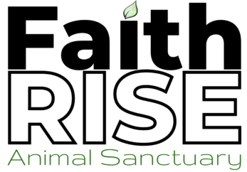 Faith Rise Animal Sanctuary logo with transparent background