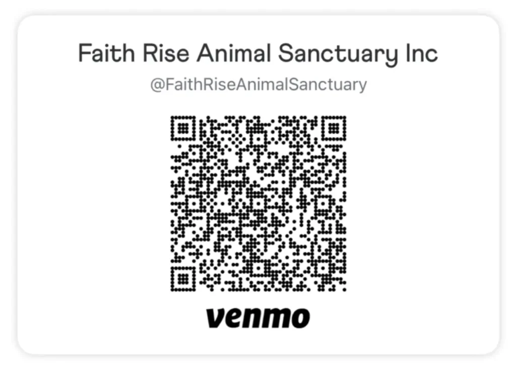 Venmo QR code for Faith Rise Animal Sanctuary