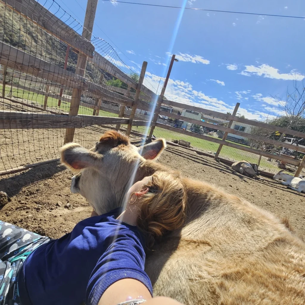 Bio image of board director of Faith Rise Animal Sanctuary
